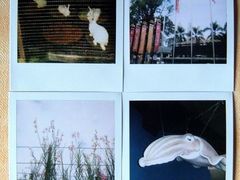 -槟城街头艺术街区