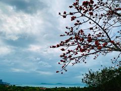 -鹿回头风景区