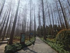 -上海怡沁园度假酒店