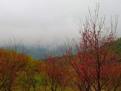 -福清灵石山国家森林公园