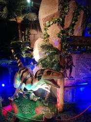 -恐龙探索乐园(磁器口店)