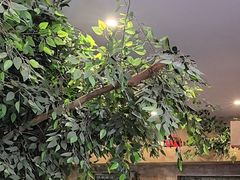 -天堂疯人院·沉浸式实景演绎密室