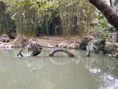 -汇龙潭