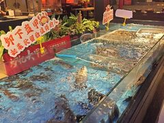 -炉忆家宴(京东店)