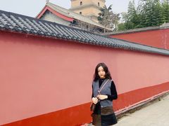 -大雁塔北广场音乐喷泉