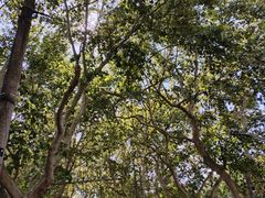 -常熟路(地铁站)