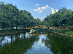 -晓港公园