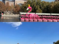 -莲花池公园
