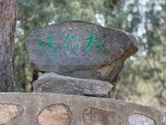 -鹫峰国家森林公园