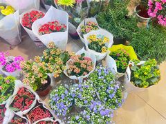 -双季花艺园艺市场(浦东店)
