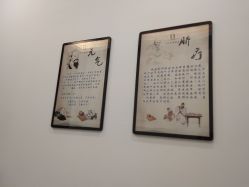 -DEM缔怡美科技美容