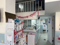-纳吉亚猫专科动物医院·北北分院