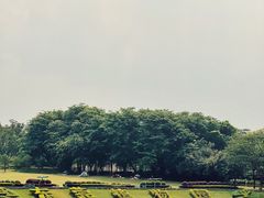 -东莞植物园