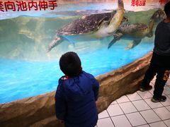 -石家庄海洋公园