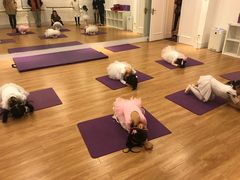 -红舞鞋舞蹈教育(近江校区)