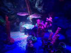 -沈阳海洋探索中心