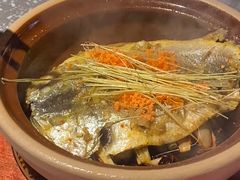 -蛙小侠(珠海华发商都店)