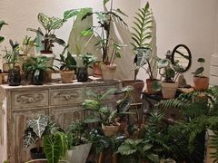 -坦克·甜品店(莲花广场店)