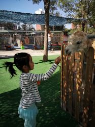 -萌宠亲子动物乐园(槐房万达店)