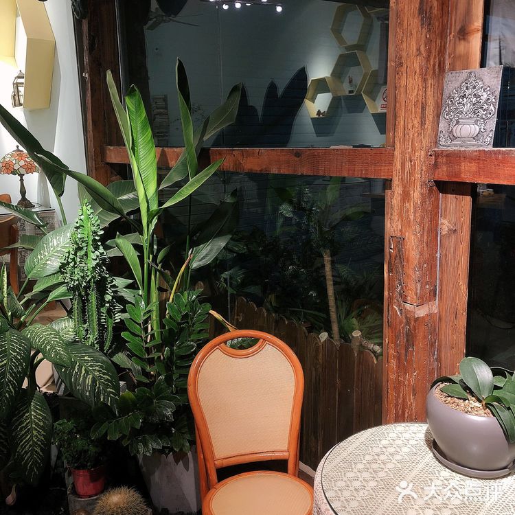 版纳探店/大象口米良