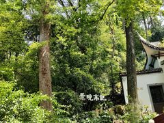 -润泽天·湘味家宴(岳麓山店)