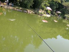 -青青世界