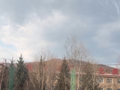-横道河子东北虎林园