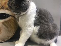 -小时光咖啡馆(开森度假森林店)