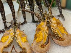 -喜聚薈·花膠雞海鮮火鍋(越秀店)