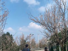 -樱桃山旅游景区