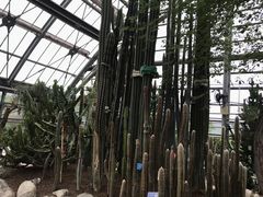 -南山植物园