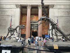 -美国自然历史博物馆