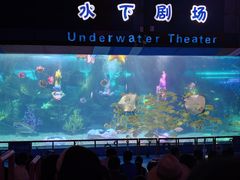 -泉城欧乐堡海洋极地世界