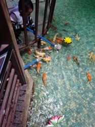 -酷嗒动物文化乐园(cutezoo西溪乐天城店)