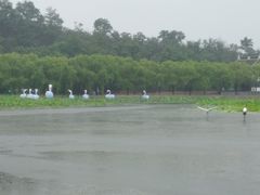 -南戴河国际娱乐中心