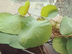 -尚岛私房菜(西方巷店)