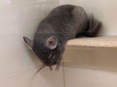 -龙猫仔乐园(惠福东路店)