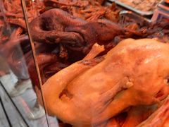 -杨震卤菜旗舰店