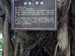 -乌山风景区