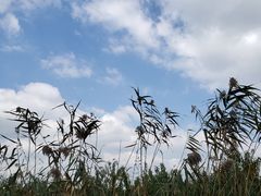 -广富林郊野公园