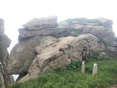 -芦芽山旅游度假区