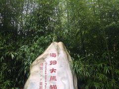 -中国大熊猫保护研究中心雅安碧峰峡基地