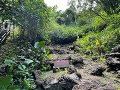-海口火山口国家地质公园