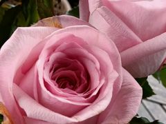 -MONICH牛排融合餐厅(和义大道购物中心店)