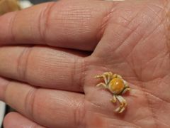 -火锅岛潮牌自助餐厅(天津天佑城店)