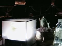 -STARRY CAFE & LOUNGE BAR(高新店)