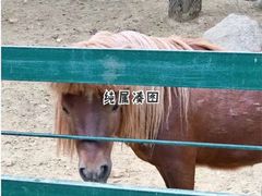 -汉堡王(烟台新世界店)