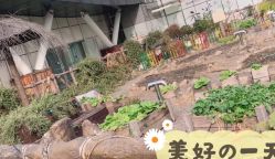 -可可天空农场(中大店)