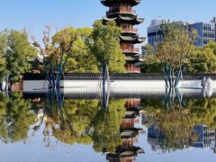 -龙华素斋(龙华路店)