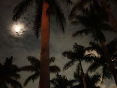 -海口骑楼小吃街